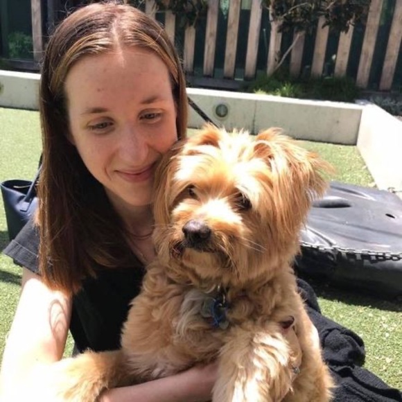 Meet your Posher, Brianna - Picture 1 of 1